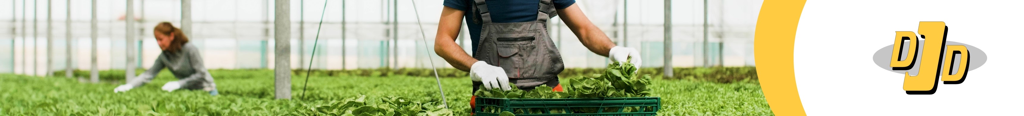 De Jager Detachering